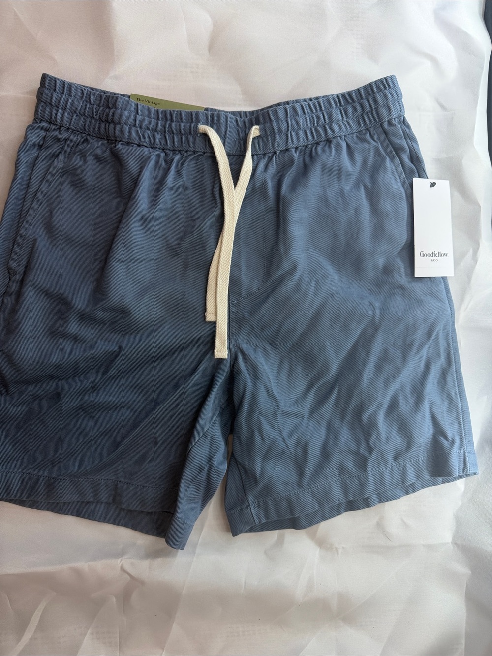 Goodfellow & Co Blue Drawstring Swim/Active Shorts